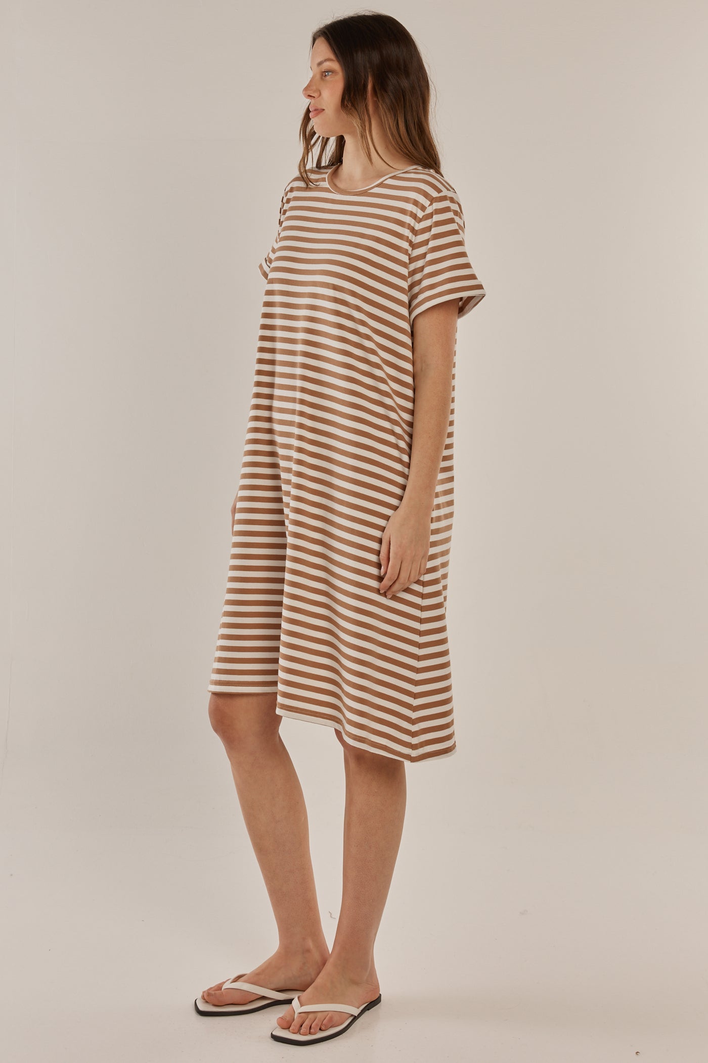 Rue Dress Beige Stripe