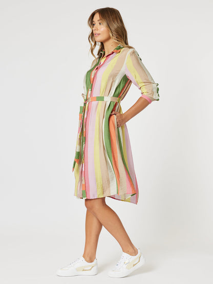 Spice stripe dress
