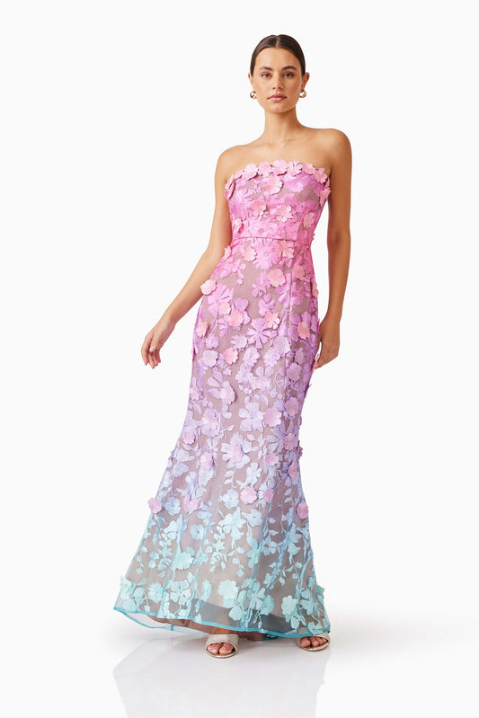 Elle gown ombre multii