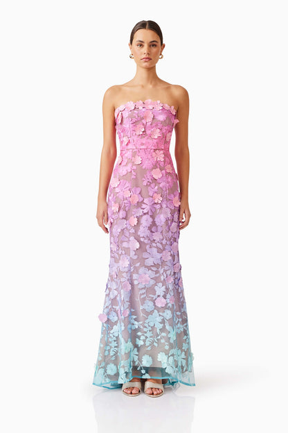 Elle gown ombre multii