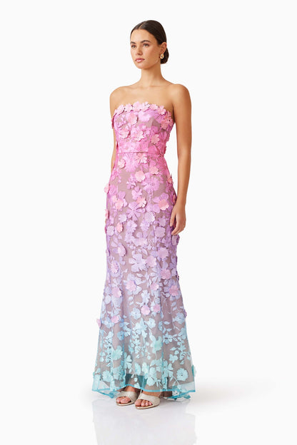 Elle gown ombre multii